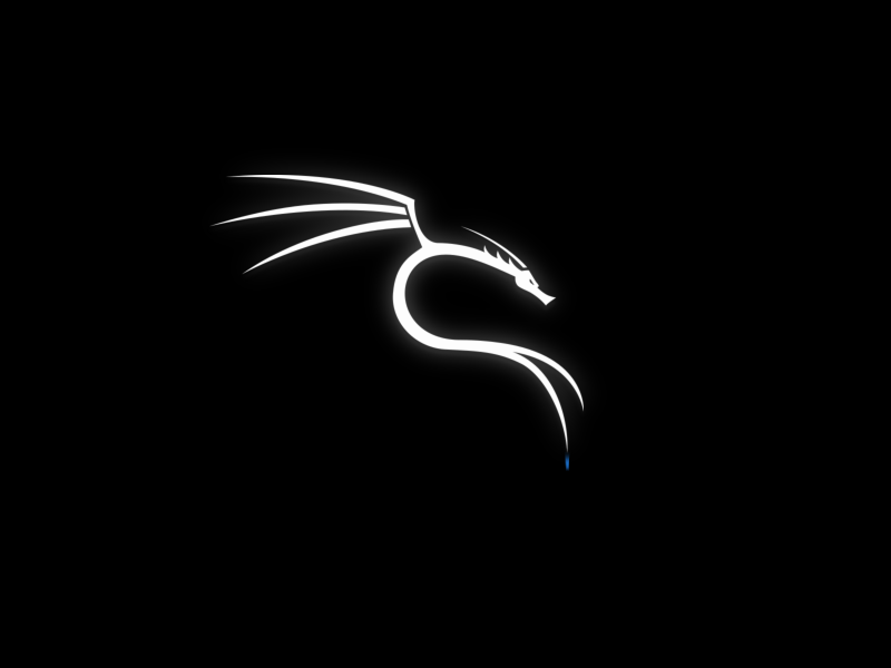 KALI LINUX ON VMware